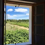 Villa Maison De Caractere Au Coeur Des Vignes, Piscine Privee