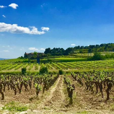 فيلة Charme Avec Piscine Privee Au Coeur Des Vignes
