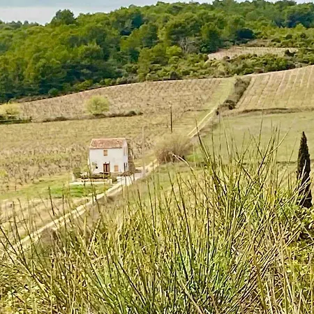 Вилла Domaine Au Coeur Des Vignes, Piscine Privee, Nature Et Repos Quarante