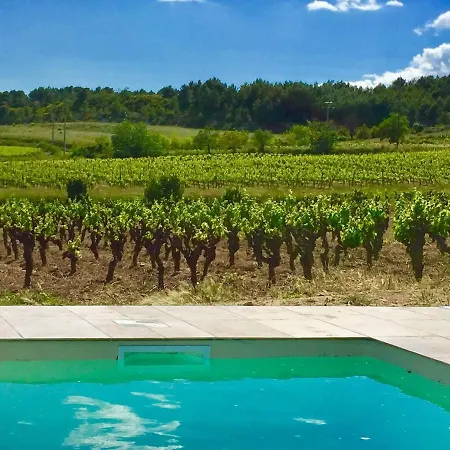 Domaine Au Coeur Des Vignes, Piscine Privee, Nature Et Repos Villa