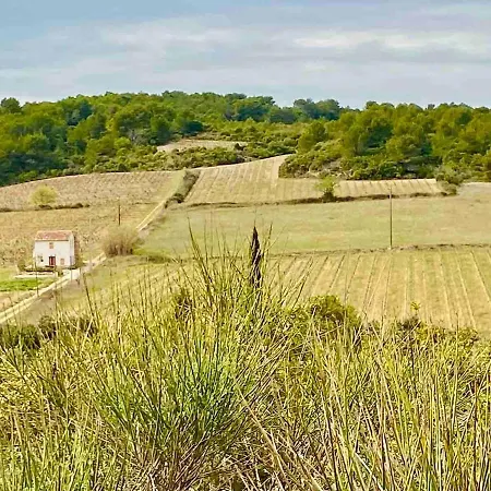 Vila Domaine Au Coeur Des Vignes, Piscine Privee, Nature Et Repos