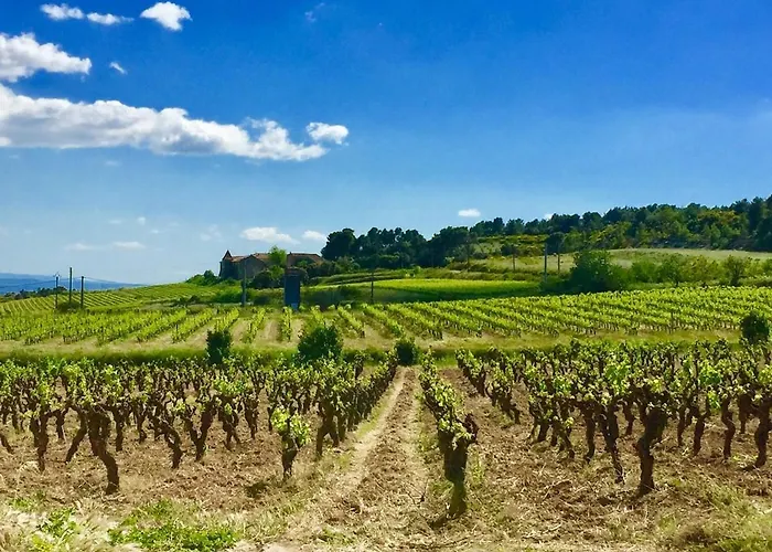Villa Demeure Charmante Avec Piscine Privee Au Coeur Des Vignes