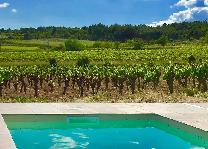 Demeure Charmante Avec Piscine Privee Au Coeur Des Vignes Villa